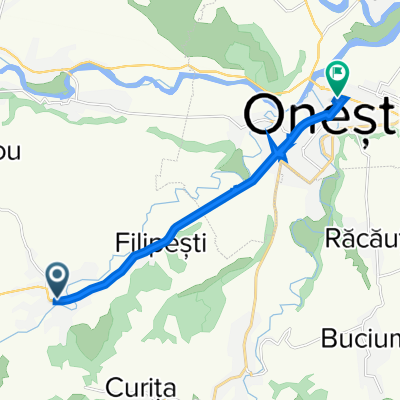 DN11 32, Bogdănești to Strada Armoniei 1, Onești