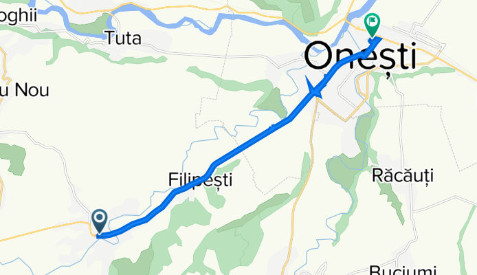 DN11 32, Bogdănești to Strada Armoniei 1, Onești