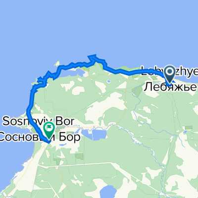Сосновый бор