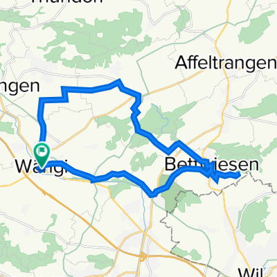 Bettwiesen_lang