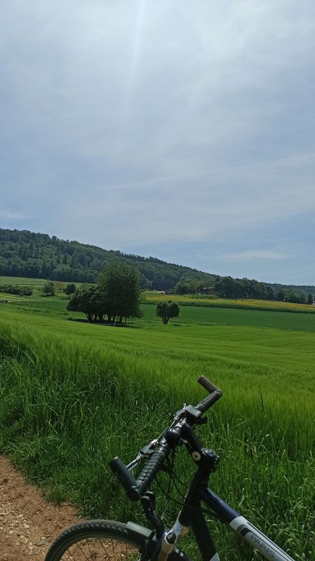 Essingen