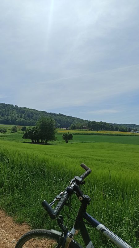 Essingen