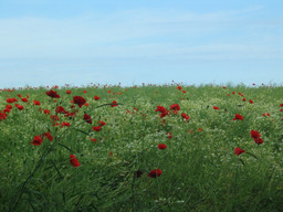 Highlight 2 along the Bikemap route "Lauenburg - Bad Oldesloe"