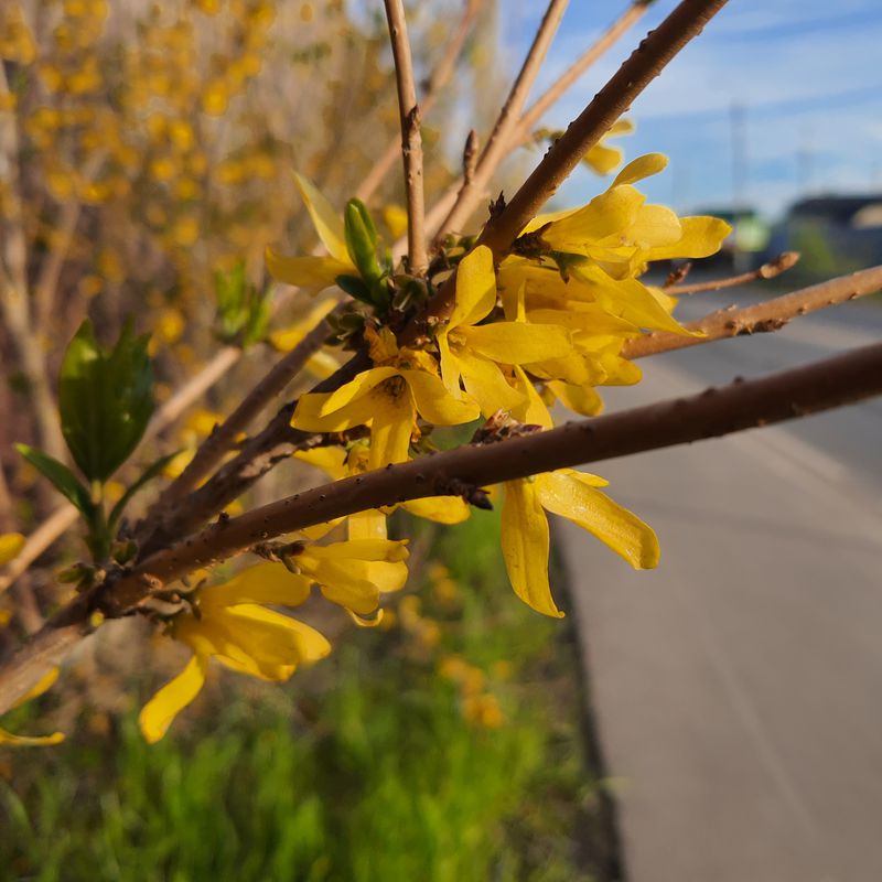 Пятничный отдых