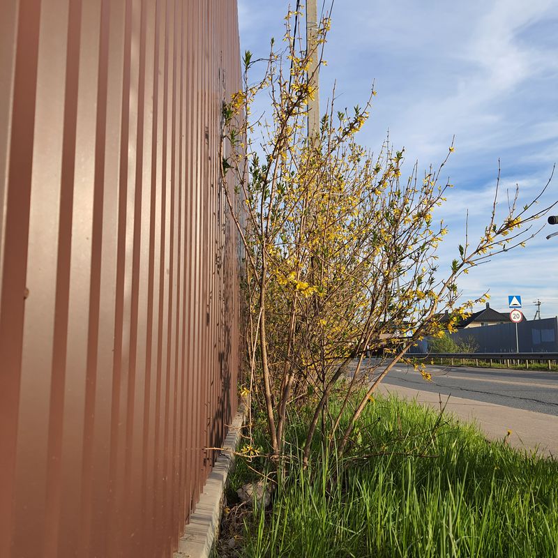 Пятничный отдых