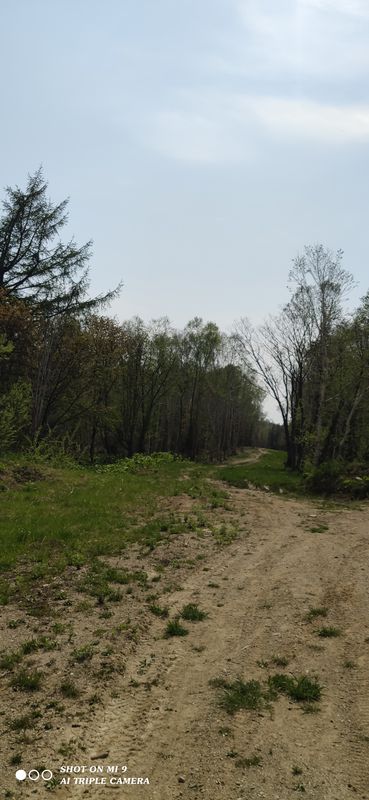 От улица Ленина 69, Южно-Сахалинск до Физкультурная улица 18a, Южно-Сахалинск