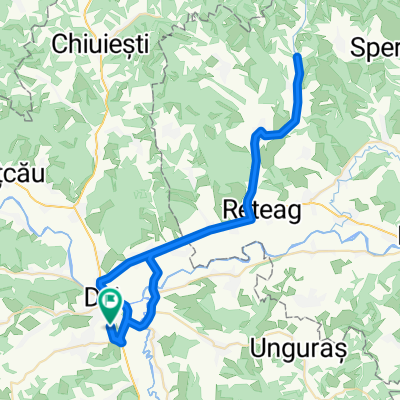 Traseul Dej-Negrileşti