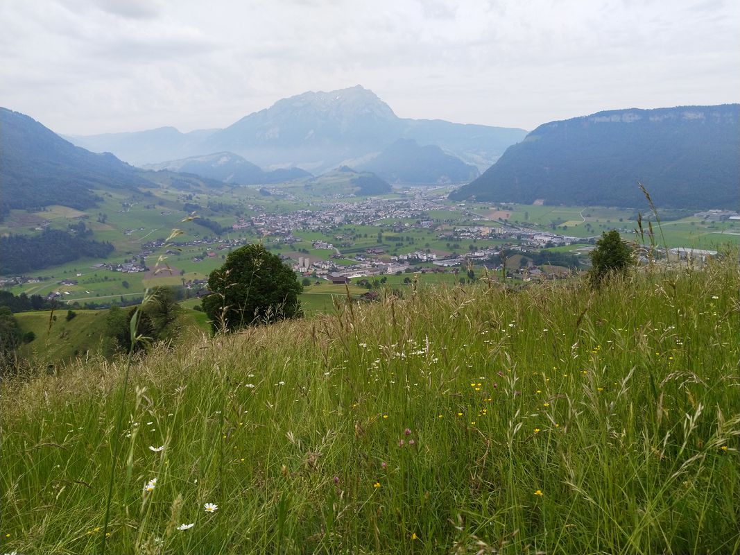 Bürgenstock/Buochserhorn Stans