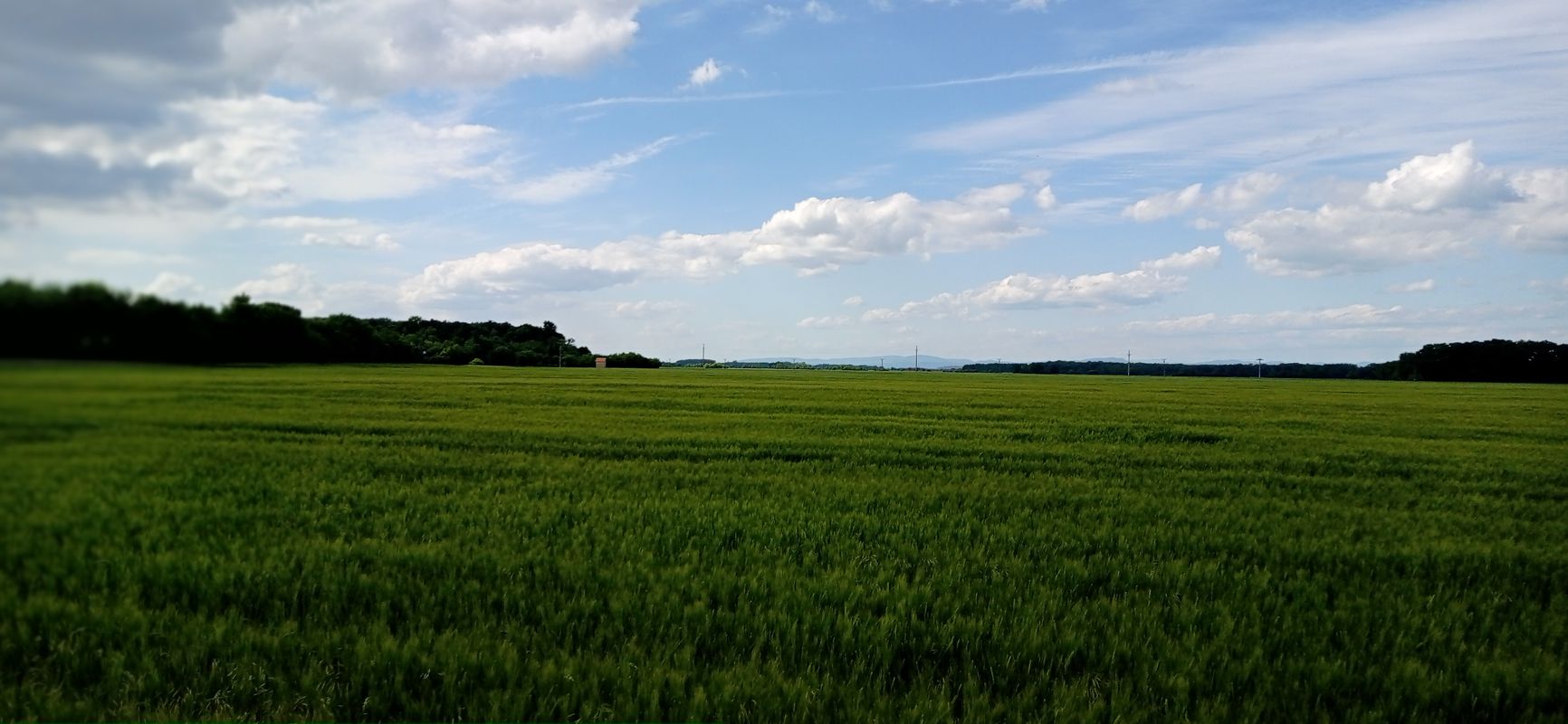 Mierová 13/49 - Mierová 53