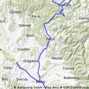 Cornet Rosia Pantasesti 
