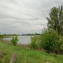 Dookoła Jeziora Dziekanowskiego