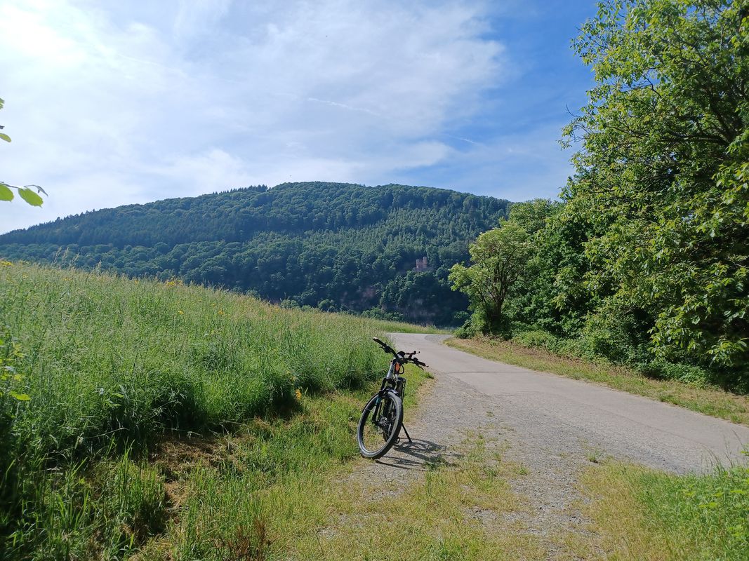 Ladenburg nach Hirschhorn