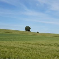 Foto 7 der Bikemap-Route "Glockenfeld 47, Hildesheim nach Neunäckervörde 3, Hildesheim"