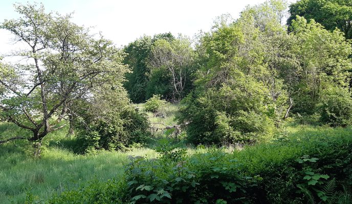 Foto 1 der Bikemap-Route "Glockenfeld 47, Hildesheim nach Neunäckervörde 3, Hildesheim"