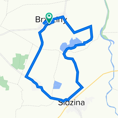 Brzeziny 99, Brzeziny do Brzeziny 99, Brzeziny
