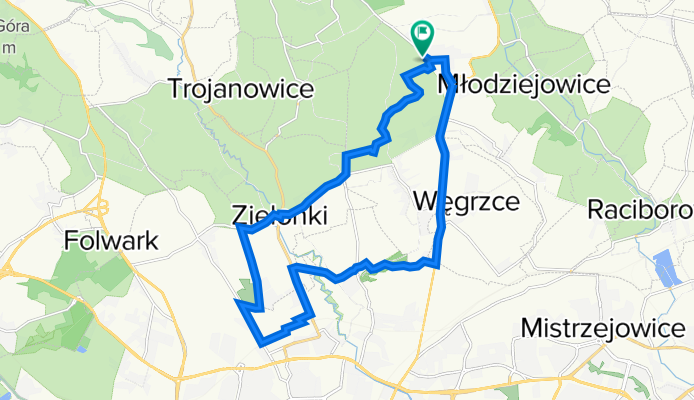 Witkowicka/Zielone Wzg贸rze/Choleryczny