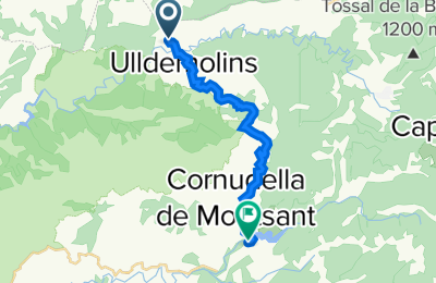 Route in der Bikemap App öffnen