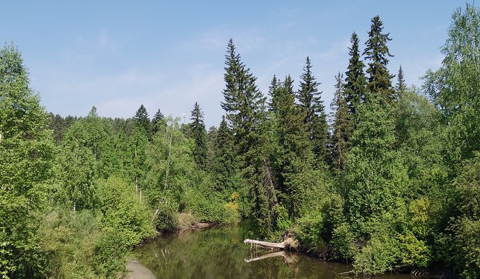 Foto 1 de la ruta de Bikemap "Маршрут в улица Школьная 34В, Железногорск"