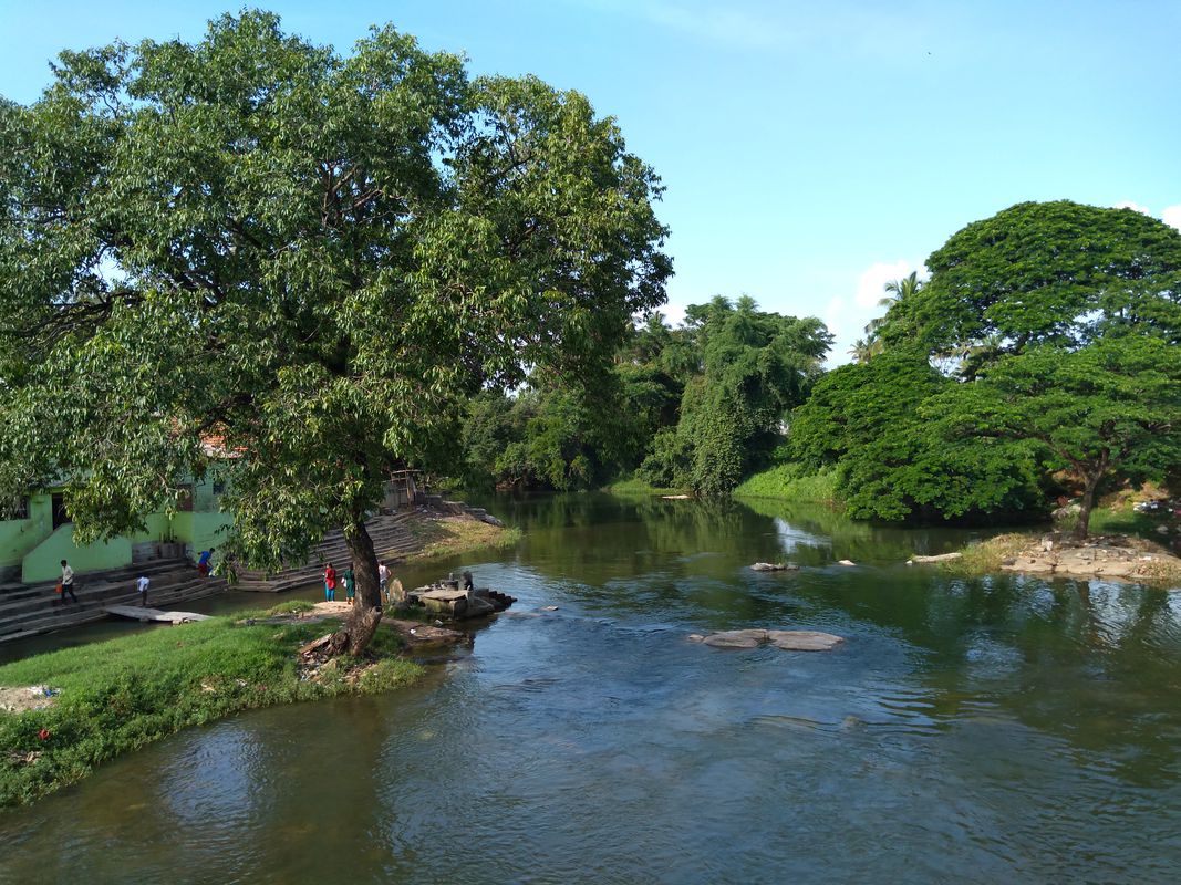 Ashoka Circle (Ballal Circle), Mysuru to Mysuru