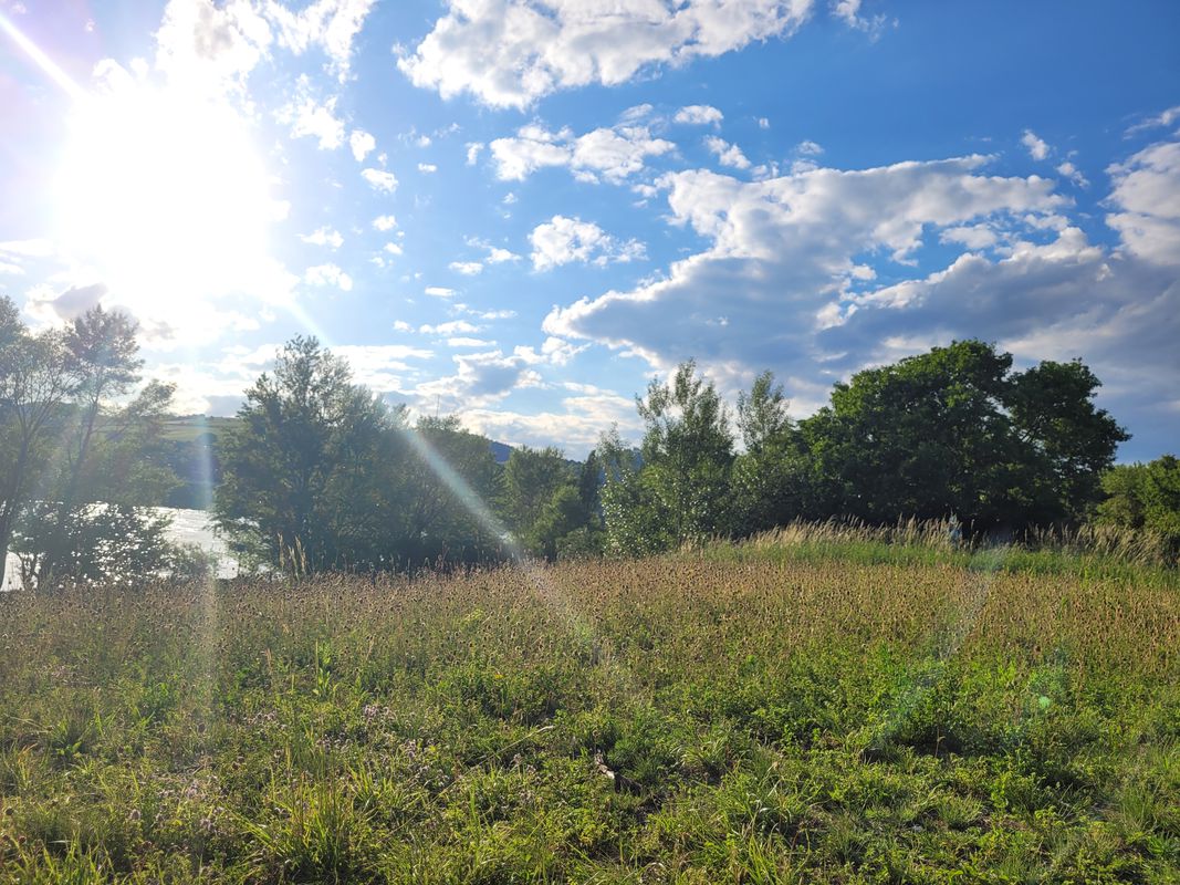 Wien to Greifenstein and back (Pt. 5/6 Korneuburg to Donauinsel)