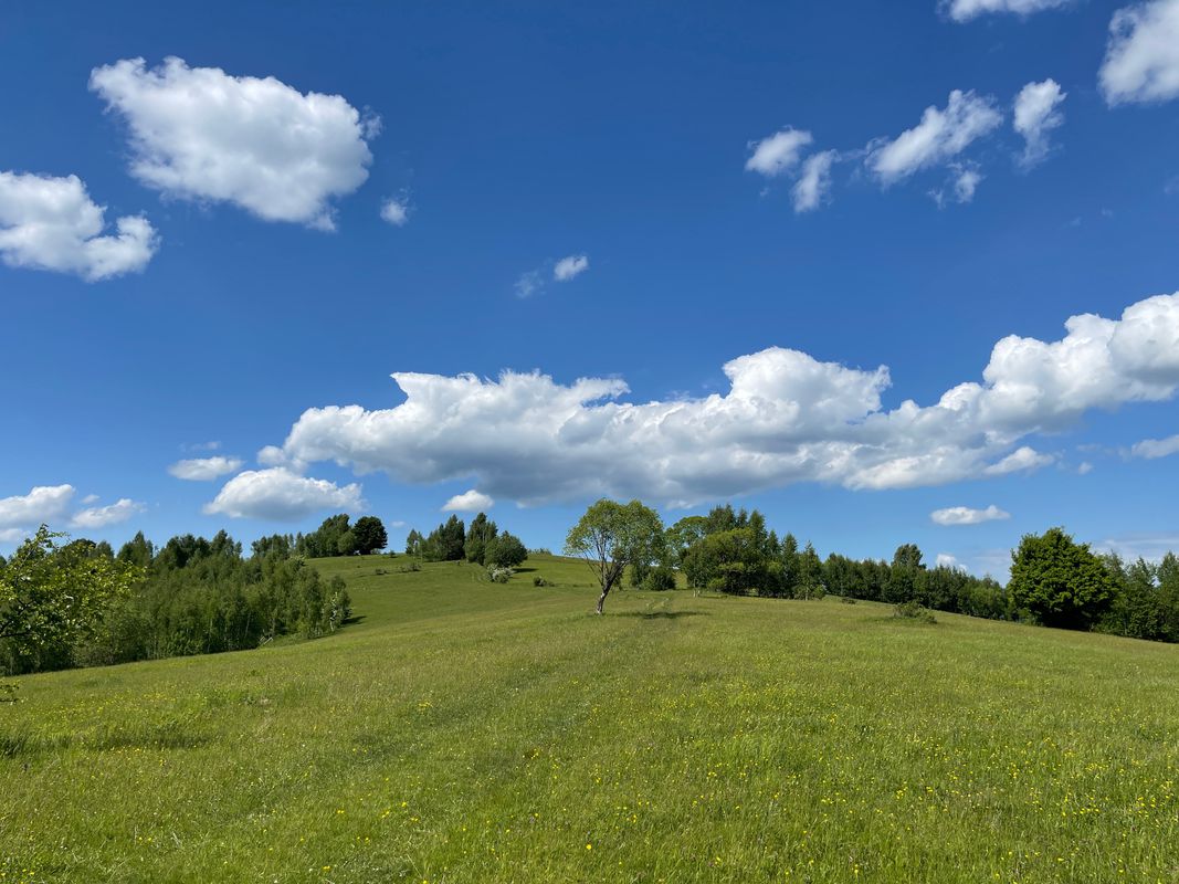 înt buzăului - vaduri - piramida