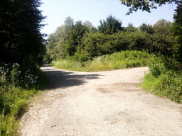 Highlight 11 along the Bikemap route "Lončarica"