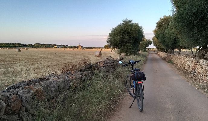 Photo 2 of the Bikemap route "Mallorca: Campos-sa Sorda-sa Barralina-es Salobrar-es Trenc-Campos"