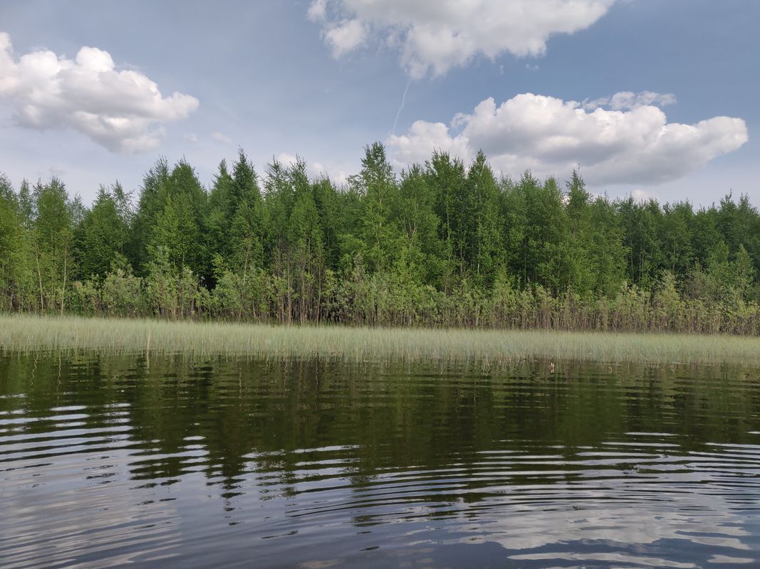 Route from Ulitsa Mira 29А, Nizhnevartovsk