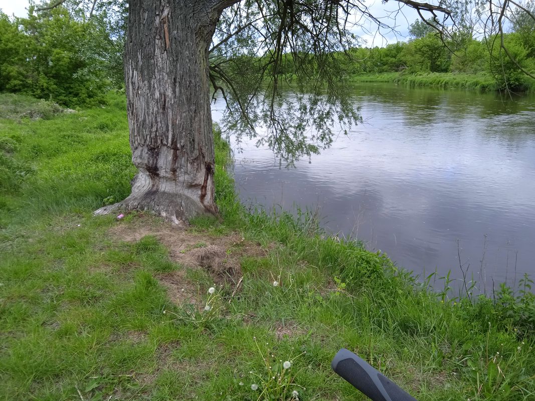 Strońsko do Strońsko