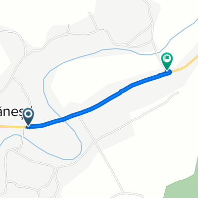 DN11 81, Bogdănești to DN11 9, Bogdănești