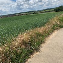 Rue Jean-Pierre Wilhelm 18, Mamer nach Rue Jean-Pierre Wilhelm 18, Mamer