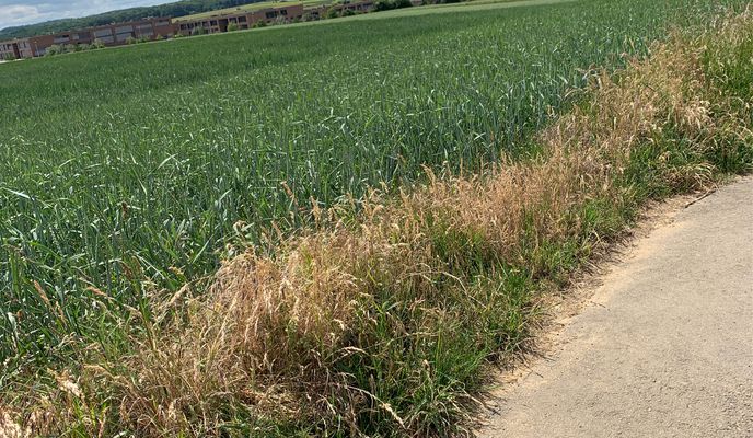 Zdjęcie 1 trasy Bikemap „Rue Jean-Pierre Wilhelm 18, Mamer nach Rue Jean-Pierre Wilhelm 18, Mamer”