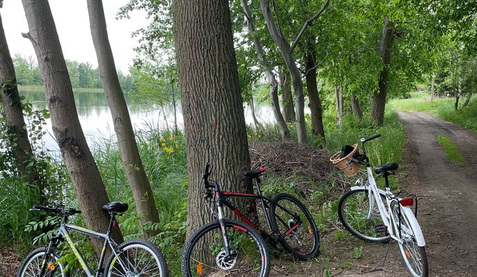 Zdjęcie 1 trasy Bikemap „Stara 23, Jabłonowo Pomorskie do Stara 23, Jabłonowo Pomorskie”