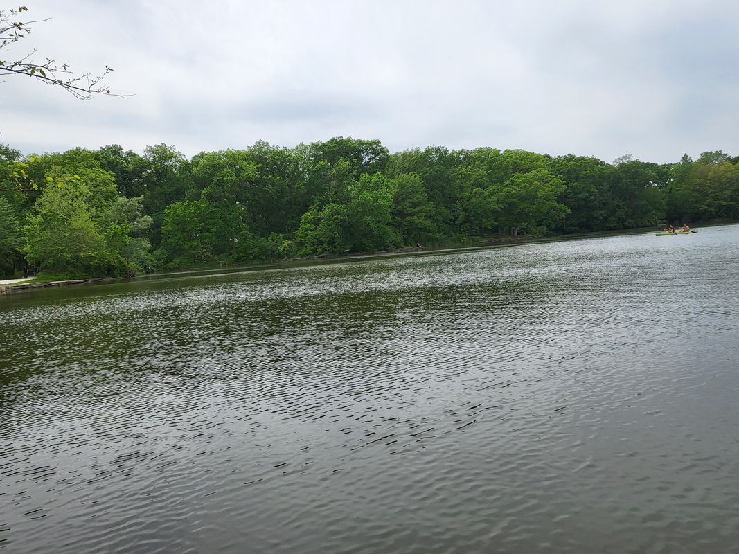 Wellington Avenue 2945, Lisle to Wellington Avenue 2945, Lisle