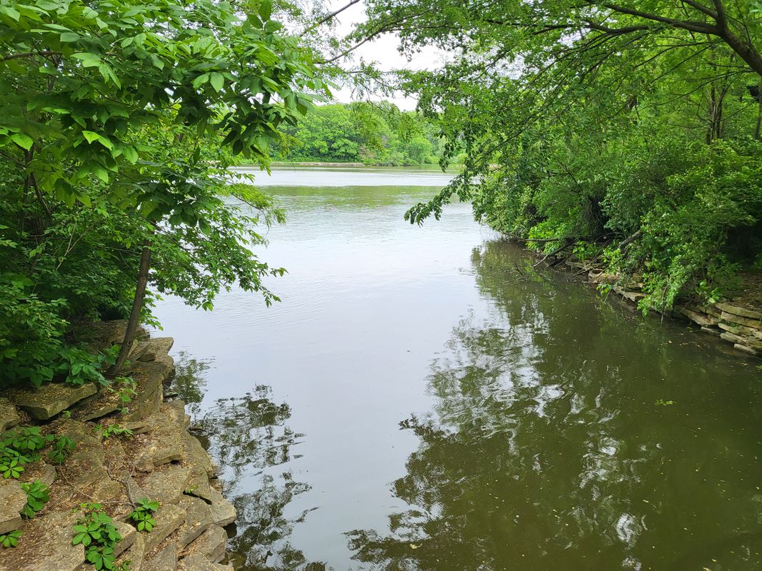 Wellington Avenue 2945, Lisle to Wellington Avenue 2945, Lisle