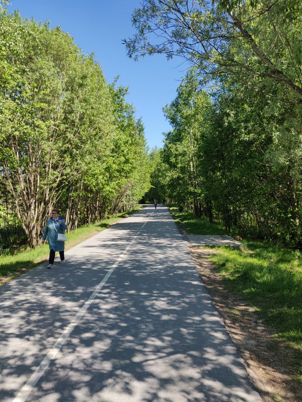 Route from Ulitsa Mira 29А, Nizhnevartovsk