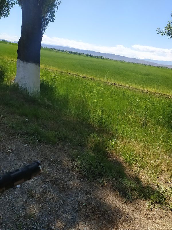 Расслабленный маршрут в