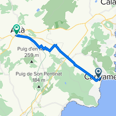 Arta-canyamel
