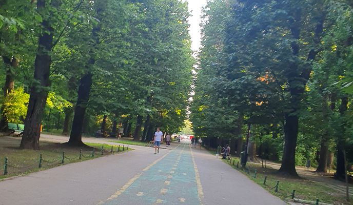 Photo 2 of the Bikemap route "From Tei to Herastrau Ride"