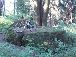 Highlight 6 along the Bikemap route "W krainie wulkanów"