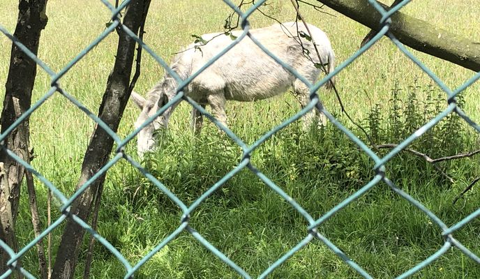 Photo 1 of the Bikemap route "Fr., 03. 06. 2022 Flughafentour, Rückweg über Königsforst"