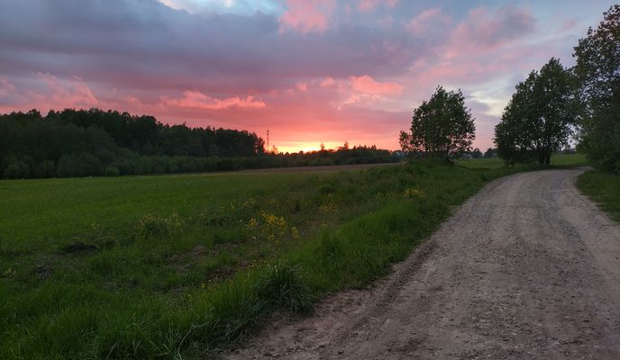 Foto 2 der Bikemap-Route "От улица Ветеранов 11 корпус 1, Сертолово до 1-й Верхний переулок 6, Санкт-Петербург"