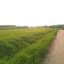 Foto 7 der Bikemap-Route "От 1-й Верхний переулок 10а, Санкт-Петербург до улица Ветеранов 11 корпус 2, Сертолово"