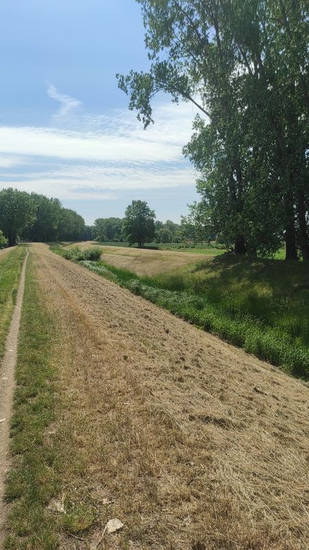 Schulstraße 18, Sandersleben (Anhalt) nach Olvenstedter Straße 45B, Magdeburg