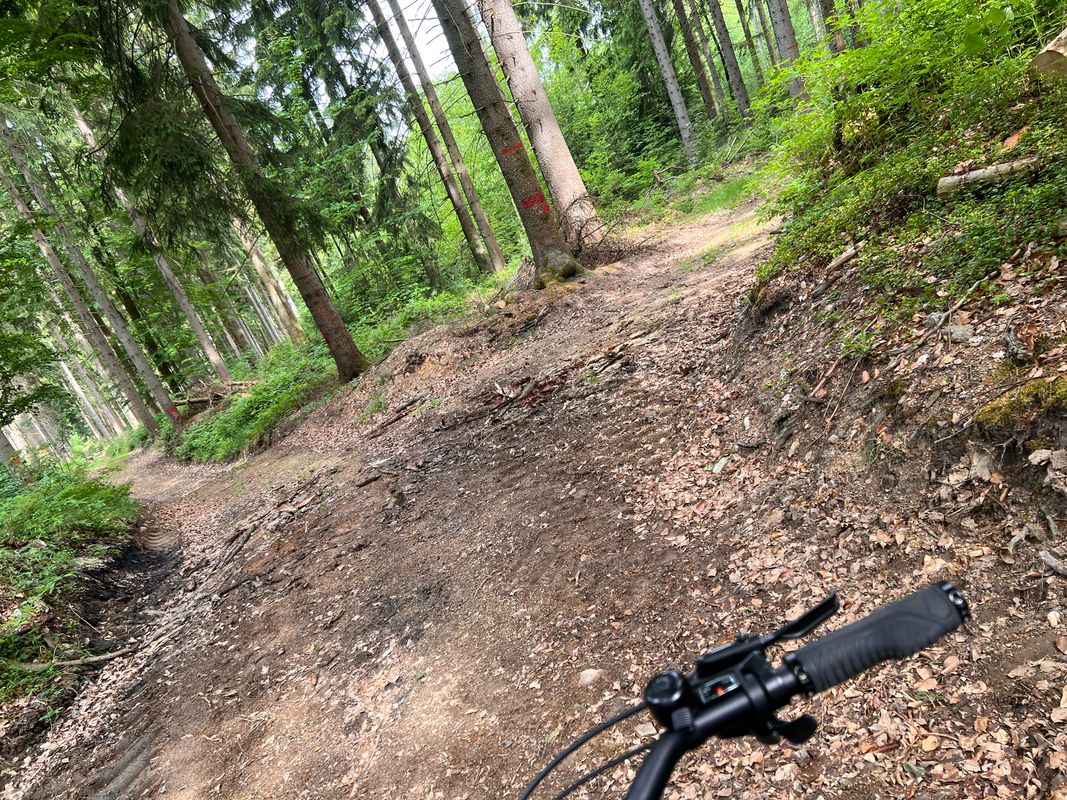 Carlsfelder Straße 18, Muldenhammer nach Am Rosinenberg 24, Auerbach/Vogtland