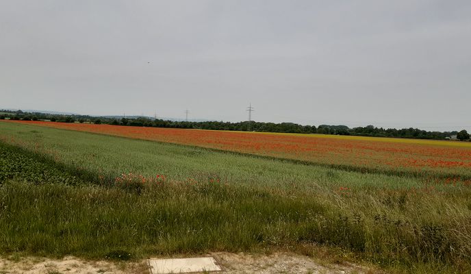 Foto 2 de la ruta de Bikemap "Neunäckervörde 4, Hildesheim nach Neunäckervörde 4, Hildesheim"