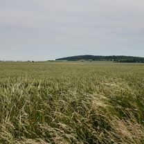 Foto 7 de la ruta de Bikemap "Neunäckervörde 4, Hildesheim nach Neunäckervörde 4, Hildesheim"