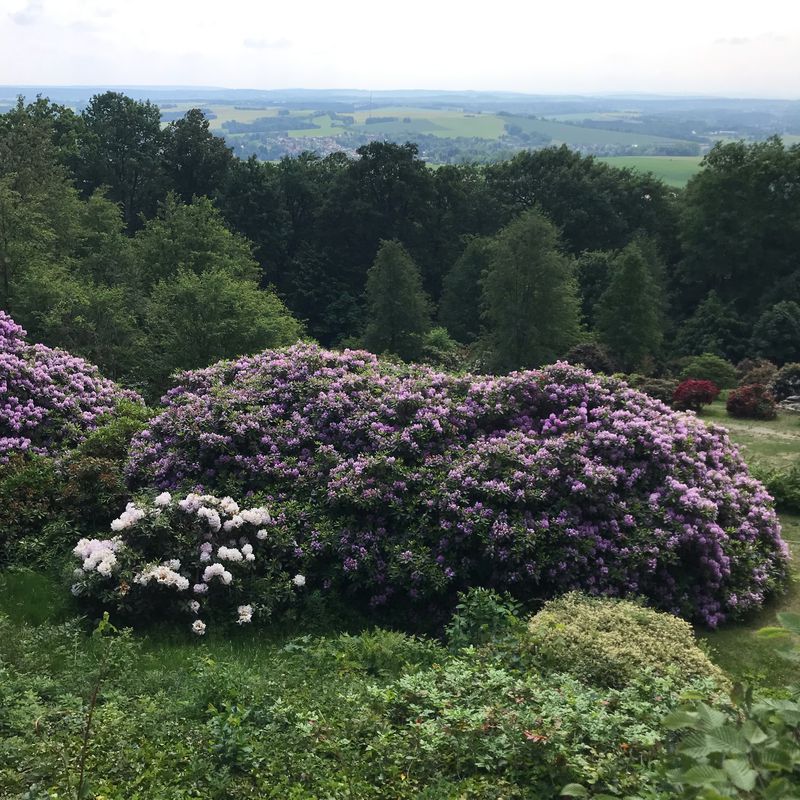 Am Hasenhügel 8, Hohenstein-Ernstthal nach Pfaffenberg 1, Hohenstein-Ernstthal