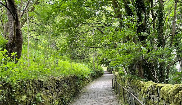 Photo 1 of the Bikemap route "14-16 Halstead St, Burnley to 14 Bridge Gate, Hebden Bridge"