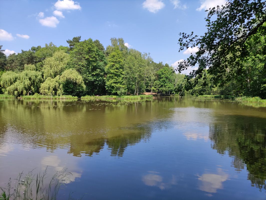 Trasa z Makowa 4, Rybnik